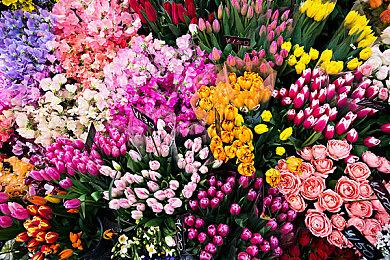 欢迎来到《MAGIC CHAOS》，一款支持最多四人在线对战的弹幕派对游戏