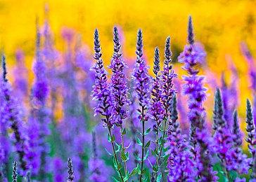 《无尽圆柱》10＆13登陆PS5＆XS＆Steam 提供周年升级